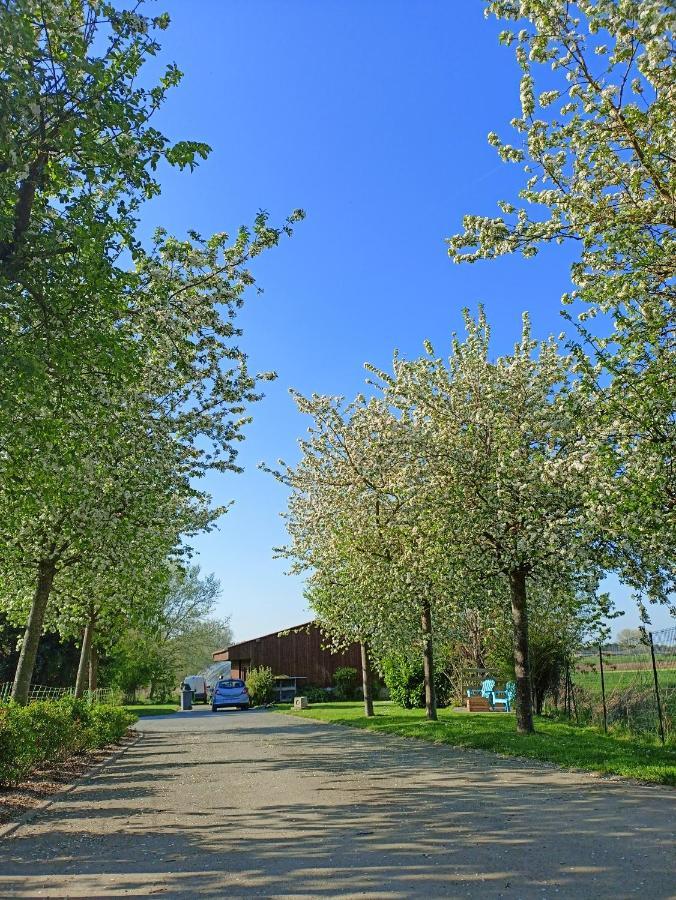Les Chambres D'Hotes Du Vert Galant " L'Allee Des Champs" Verlinghem Eksteriør billede