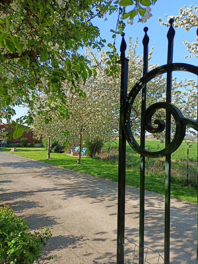 Les Chambres D'Hotes Du Vert Galant " L'Allee Des Champs" Verlinghem Eksteriør billede
